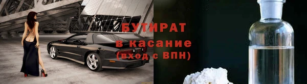 индика Алзамай