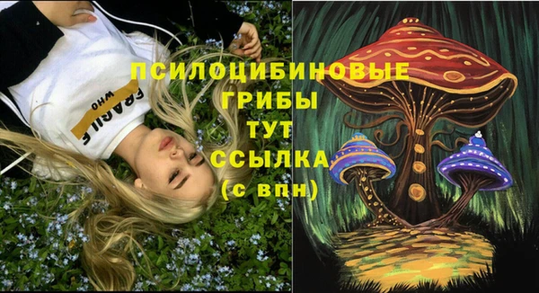индика Алзамай