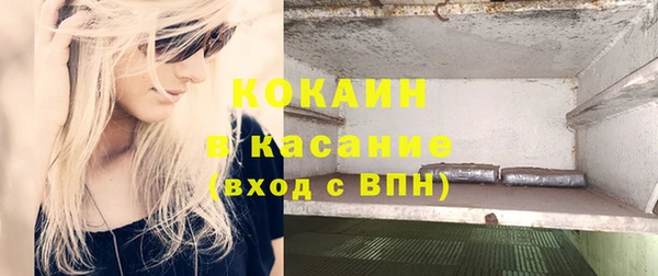 индика Алзамай