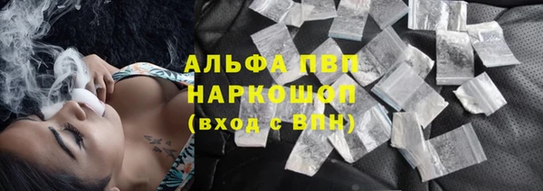 гидра Пересвет