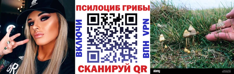Псилоцибиновые грибы Cubensis Лаишево